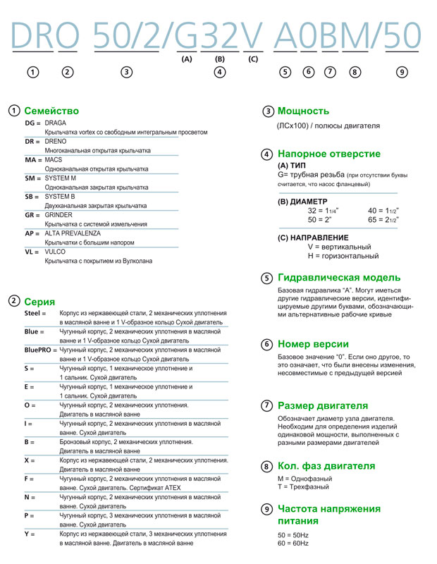 Структура Zenit